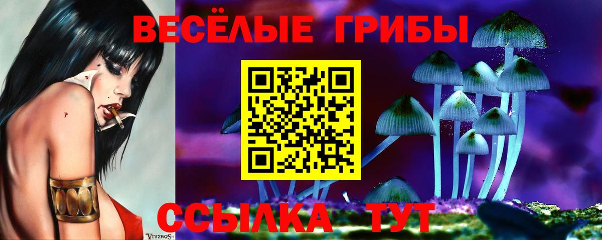 Псилоцибиновые грибы MAGIC MUSHROOMS Джанкой