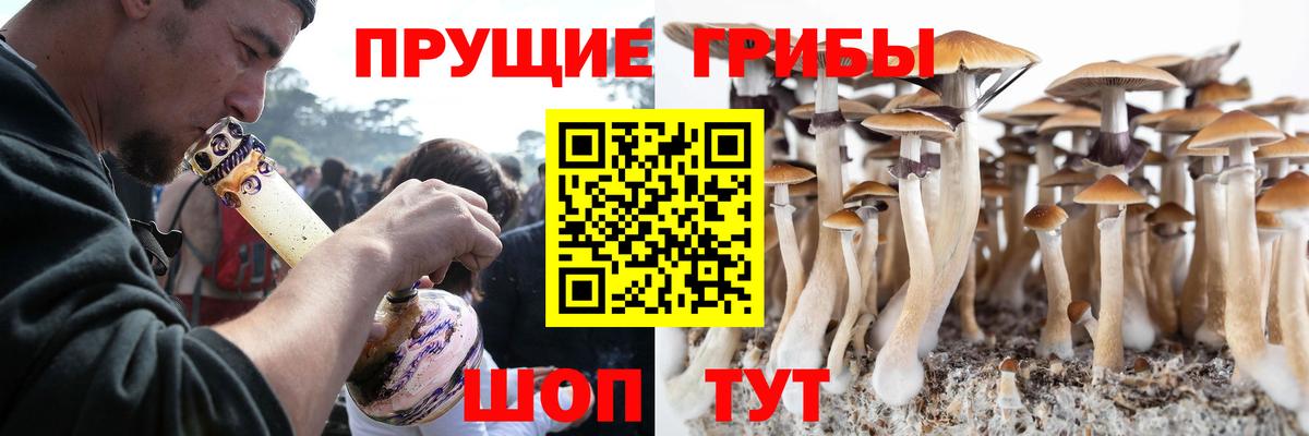 Галлюциногенные грибы Psilocybine cubensis  Галлюциногенные грибы GOLDEN TEACHER  Джанкой  Вход с VPN 